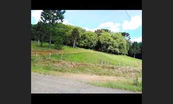 Imagem 4: Vendo chácara 3 Alqueires em caçador com escritura tudo certinho