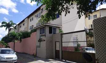 Imagem: Apartamento para aluguel possui 50 metros