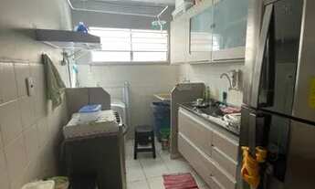 Imagem 5: Parque das Violetas