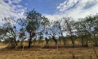 Imagem 3: Terreno Chácara Sítio