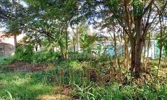 Imagem 3: Terreno - Ribeirão Preto - Ribeirânia