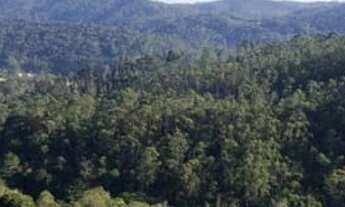 Imagem 5: Terreno para venda tem 1000 metros quadrados em Rio Acima - Mairiporã - SP