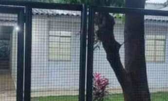 Imagem 2: Casa com 3 quartos para alugar no bairro Curitibanos