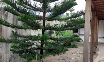 Imagem 4: Vendo Excelente Repasse no Janga, perto da Av. com 02 Qts