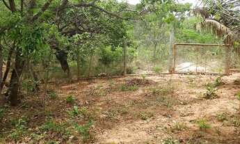 Imagem 3: Terreno em planalto rural