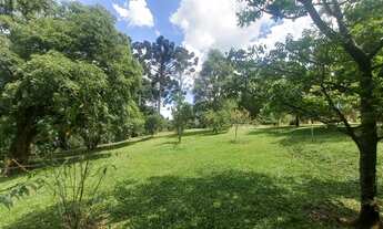 Imagem 7: Sítio Das Cerejeiras!!