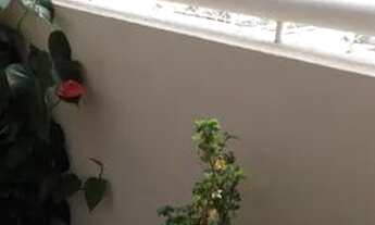 Imagem 2: EXCELENTE APTO MOBILIADO - LAZER - LOCALIZAÇÃO PRIVILEGIADA