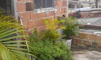 Imagem 6: Casa alugando Casa com 1 dormitório