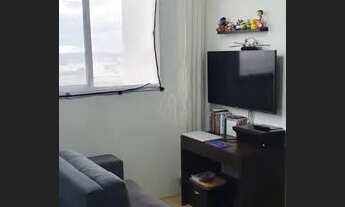 Imagem 2: Araçatuba - Apartamento - Umuarama