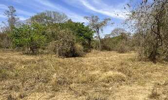 Imagem 6: Chacara em Guapo escritura individual 10 mil de entrada com acesso comum no corrego chaca