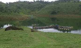 Imagem 3: Psicultura completa + chácara 2.000 m2