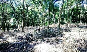 Imagem 4: Excelente Chácara Sem Benfeitorias