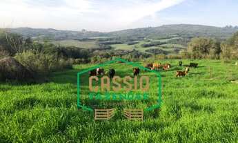 Imagem 3: Fazenda 370 hectares