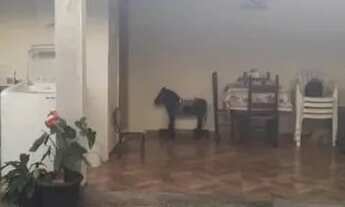 Imagem 3: Vendo ou Troco Casa em Tijucas SC