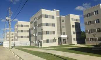 Imagem 5: Aluguel AP Floratta 1° Andar