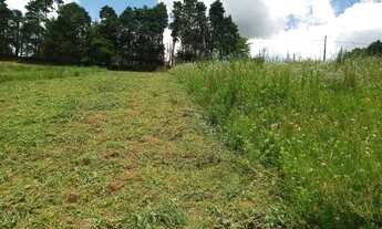Imagem 4: Terreno em Cotia Grande lançamento