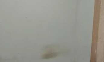 Imagem 2: Casa pra alugar Casa com 2 dormitórios