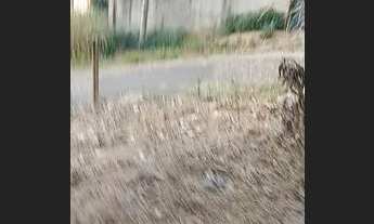 Imagem 4: Meio lote no centro de juatuba