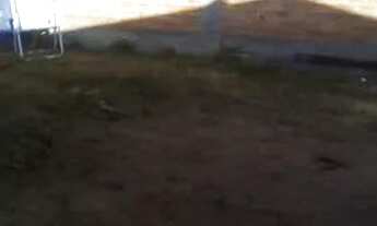 Imagem 5: Vendo ou troco casa com pátio grande