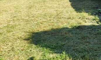 Imagem 5: Chácara / sítio à venda na Entrada da cidade de Primeiro de Maio