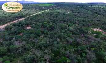 Imagem 5: Lote Chácara Condomínio Chácaras Campestre - Seabra/BA