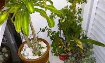 Imagem 3: Sobrado para Venda em Santo André, Jardim Jamaica, 3 dormitórios, 3 banheiros, 2 vagas