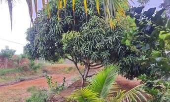 Imagem 4: SITIO PARA CRIAÇÃO DE TILÁPIAS