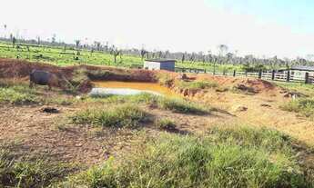 Imagem 2: VENDE-SE sítio de 84 alqueires em HUMAITÁ-AMAZONAS