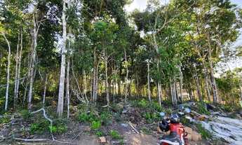 Imagem 2: Terreno em Trancoso BA