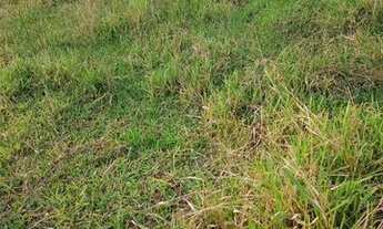 Imagem 6: Lotes Terreno / lote com venda por R$30.000