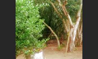 Imagem 2: Lindo sítio 1.800m2, c/ linda casa e sombra