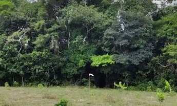 Imagem 3: Sítio em Salgado/SE