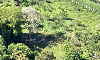 Imagem 6: Terreno Terreno / lote com venda por R$370.000