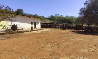 Imagem 7: Excelente fazenda em Niquelândia GO