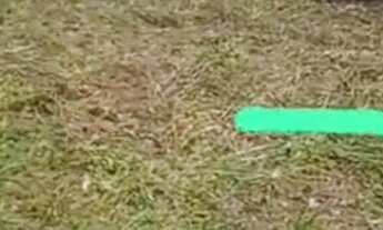 Imagem: Vende-se terreno localizado no município