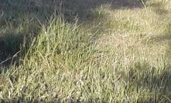 Imagem 7: Vendo área próximo morada nova