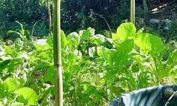 Imagem 2: Casa bairro Esperança, Picada Café.RS REF: 279