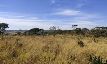 Imagem 6: Fazenda à venda, 969200 m² por R$ 6.000.000 - Serra Do Salitre - Serra do Salitre/MG