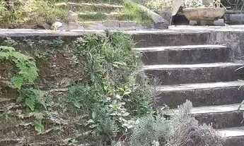 Imagem 3: Imóvel para venda possui 2950 metros quadrados com 4 quartos