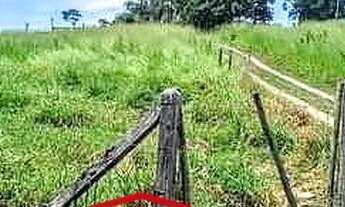 Imagem 3: TERRENO PARA VENDER EM CAÇAPAVA