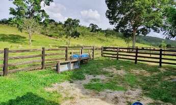 Imagem 5: Fazenda à Venda em Cocalzinho - Goiás - 54 Alqueires