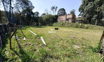 Imagem 6: Chácara à Venda - 5.000 m² Murada com Benfeitorias - Bairro Inhaíva, São José dos Pinhais