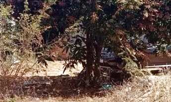 Imagem: Vendo lote no núcleo rural sarandy próximo