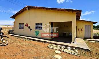 Imagem 3: Fazenda 13 alqueires (62 hectares) Anápolis - GO