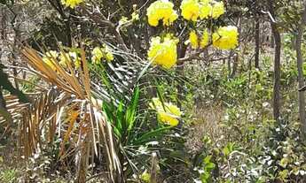 Imagem 6: Chácara (Condomínio Vale dos Sonhos