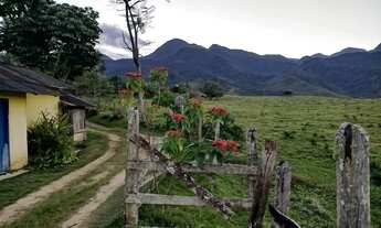 Imagem 4: WCM - Sítio Caparaó 2 alqueires 2.000.000,00