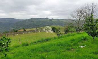 Imagem 6: Terra no interior de Monte Belo do Sul