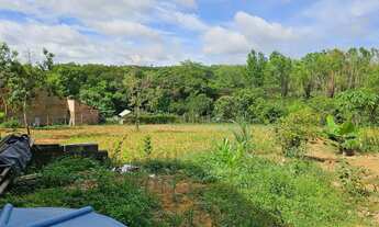 Imagem 6: Chácara de 5.000 metros