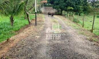 Imagem 4: Fazenda com 3 dormitórios à venda, 2807200 m² por R$ 5.800.000,00 - Centro - Conceição de