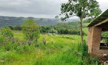 Imagem 3: Terra no interior de Monte Belo do Sul